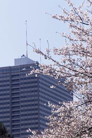 【徹底解説】信頼できる外壁工事業者選びとマンションの資産価値を守るポイント