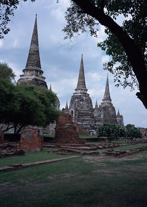 シーズン活躍するリノベーション千葉