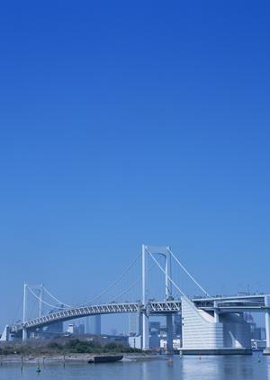 とても素晴らしい家を提案してくれます